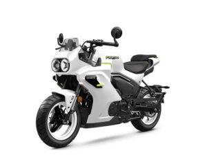 2026 CFMOTO Papio SS