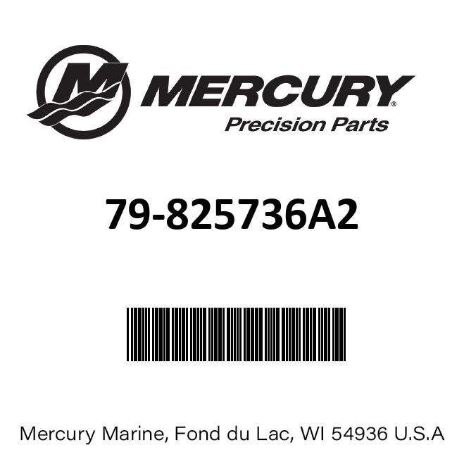 Mercury – Gauge-dual eng – 79-825736A2