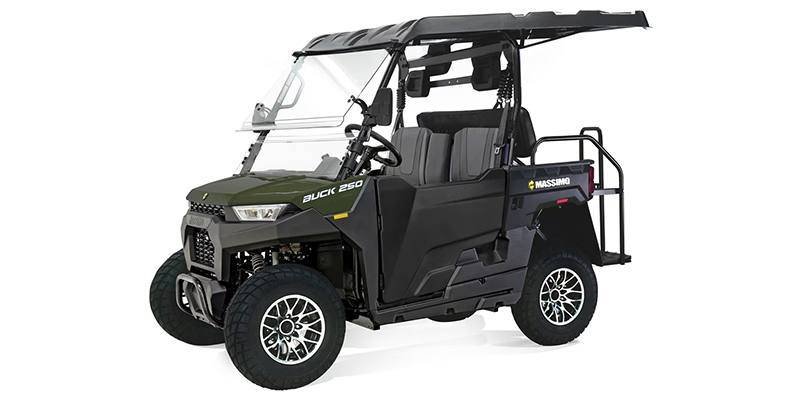 2025 Massimo Motor Buck 250X Golf - Image 3