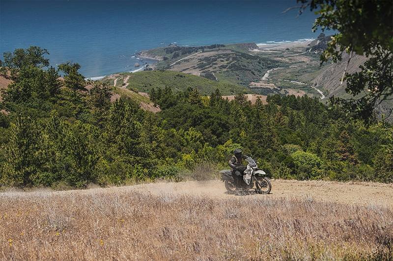 2025 Kawasaki KLR® 650
