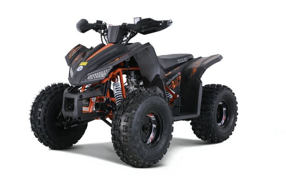 2022 TAOTAO TrailHawk 10 - Image 9