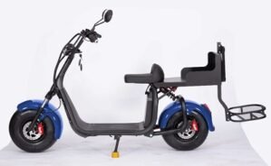 Citycoco Elec Scooter W/ Rack Blue