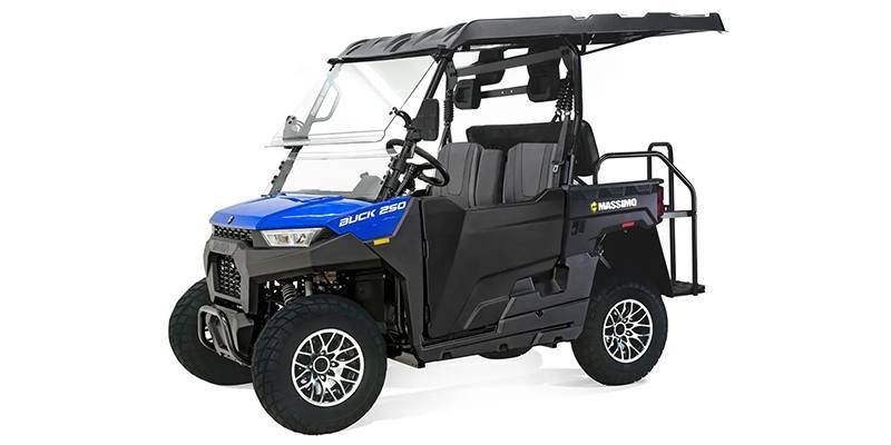 2025 Massimo Motor Buck 250X Golf - Image 7