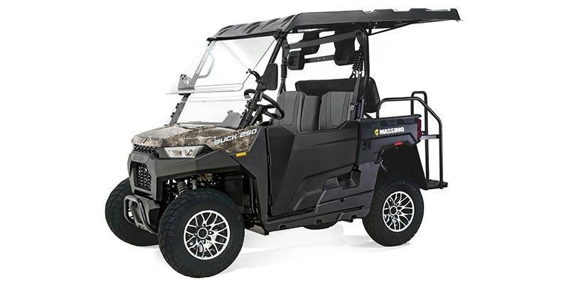 2025 Massimo Motor Buck 250X Golf - Image 2