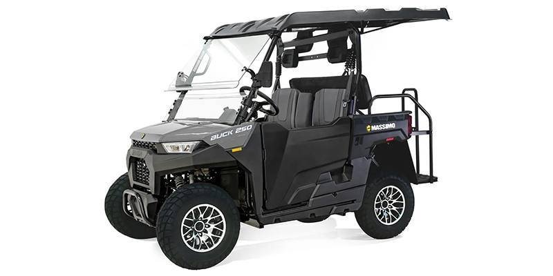 2025 Massimo Motor Buck 250X Golf - Image 4
