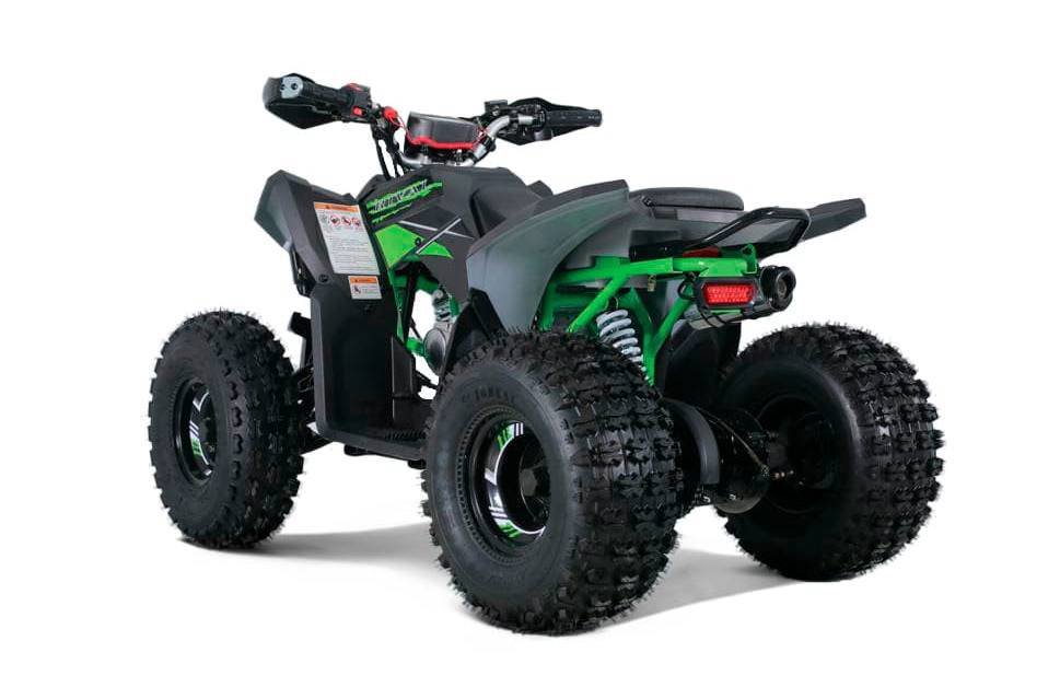 2022 TAOTAO TrailHawk 10