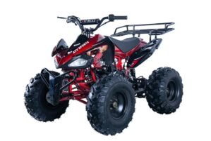 JET-9 125cc Sport Atv, Automatic Burg