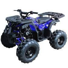 Rider 10 New 125cc Atv Blue Spider